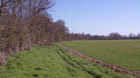 rive gauche longeant des champs